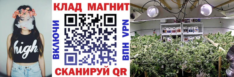 Все наркотики Кущёвская Альфа ПВП  МАРИХУАНА  Меф  Псилоцибиновые грибы  КОКАИН  ГАШ 