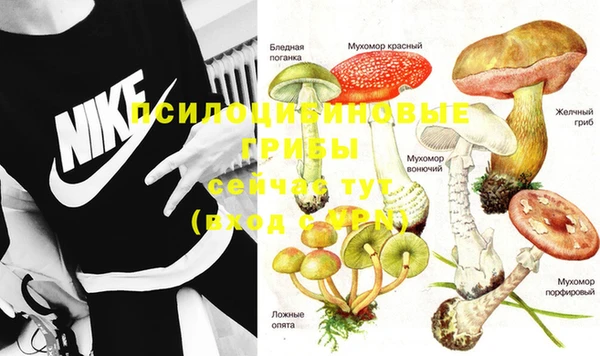 винт Михайловск