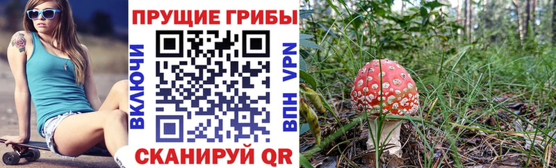 Псилоцибиновые грибы мицелий  блэк спрут зеркало  Кущёвская  наркота 